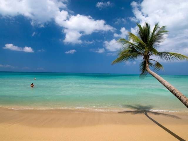 Qué hacer en Las Terrenas: guía completa de playas, restaurantes y experiencias