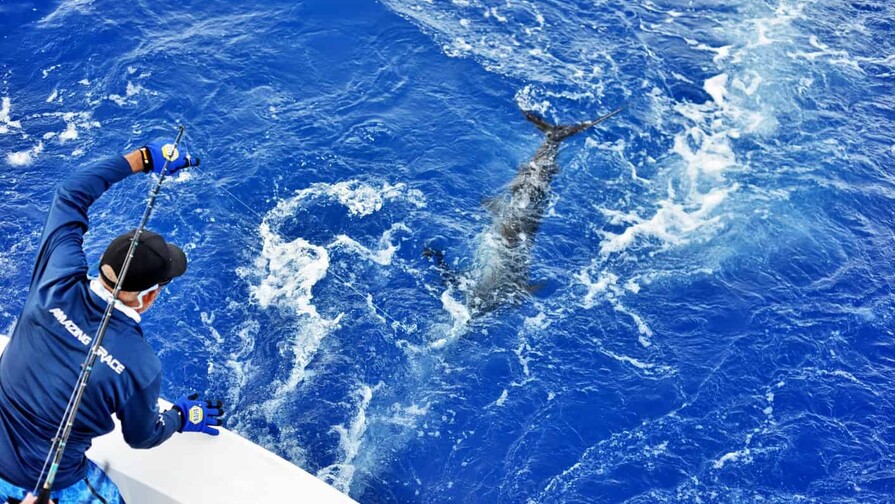 La pesca deportiva impulsa el turismo de lujo en República Dominicana y fortalece las economías costeras